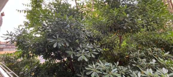 Estudio en Genoa, Italy No. 287205 5