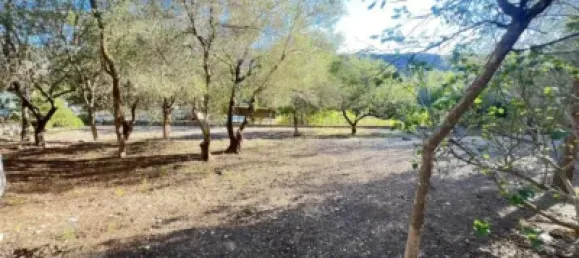 3 Schlafzimmer Haus in Alzira, Spain, Nr. 190560 28