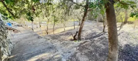 3 Schlafzimmer Haus in Alzira, Spain, Nr. 190560 26