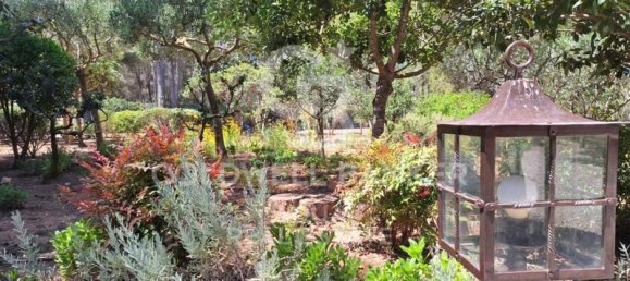 Вилла с 4 спальнями в Аликанте, Испания № 78428 41