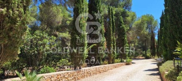 Вилла с 4 спальнями в Аликанте, Испания № 78428 44