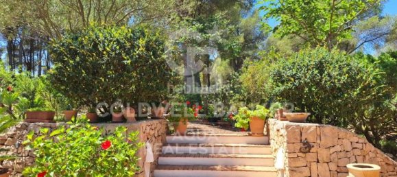 Вилла с 4 спальнями в Аликанте, Испания № 78428 38