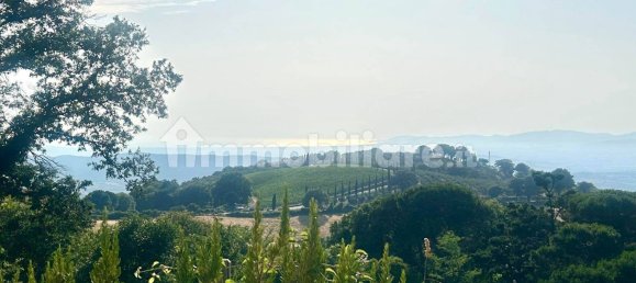 3 bedrooms Villa in Scansano, Italy No. 293891 20