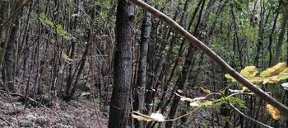 350000m² Land in Orsomarso, Italy No. 300958 2