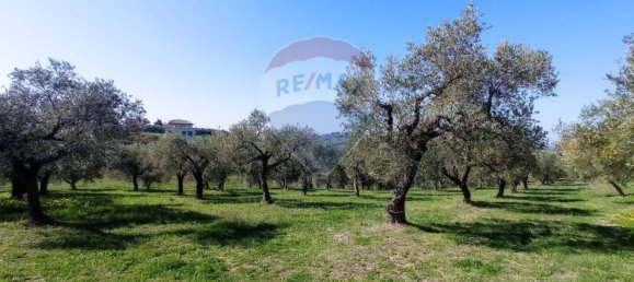 Terreno en Francavilla al Mare, Italy 12000 m² No. 55169 8