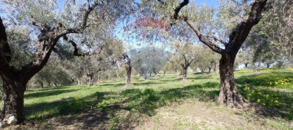 Terreno en Francavilla al Mare, Italy 12000 m² No. 55169 6