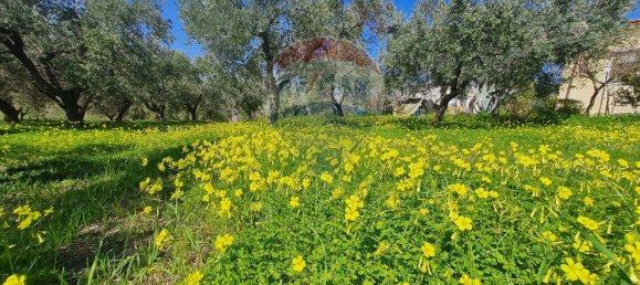 Terreno en Francavilla al Mare, Italy 12000 m² No. 55169 11