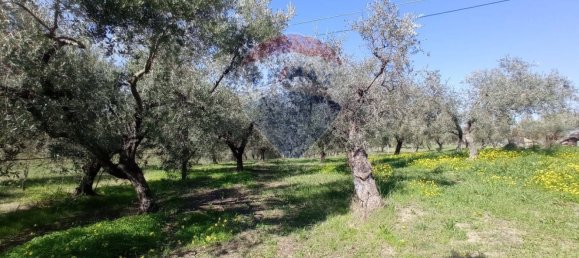 Terreno en Francavilla al Mare, Italy 12000 m² No. 55169 9