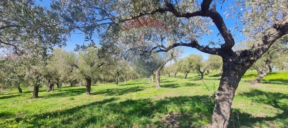 Terreno en Francavilla al Mare, Italy 12000 m² No. 55169 7