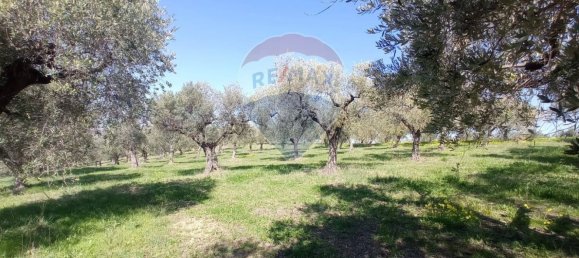 Terreno en Francavilla al Mare, Italy 12000 m² No. 55169 5