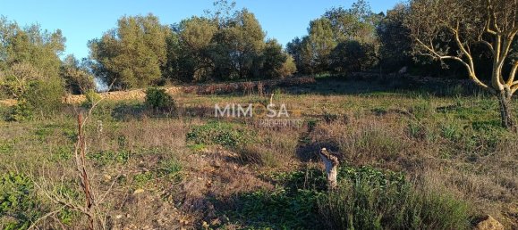 8240m² Land in Silves, Portugal No. 44830 7