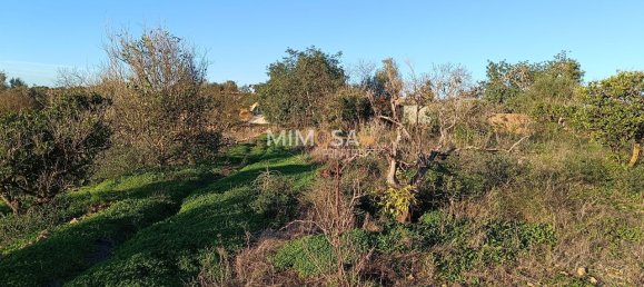 8240m² Land in Silves, Portugal No. 44830 4