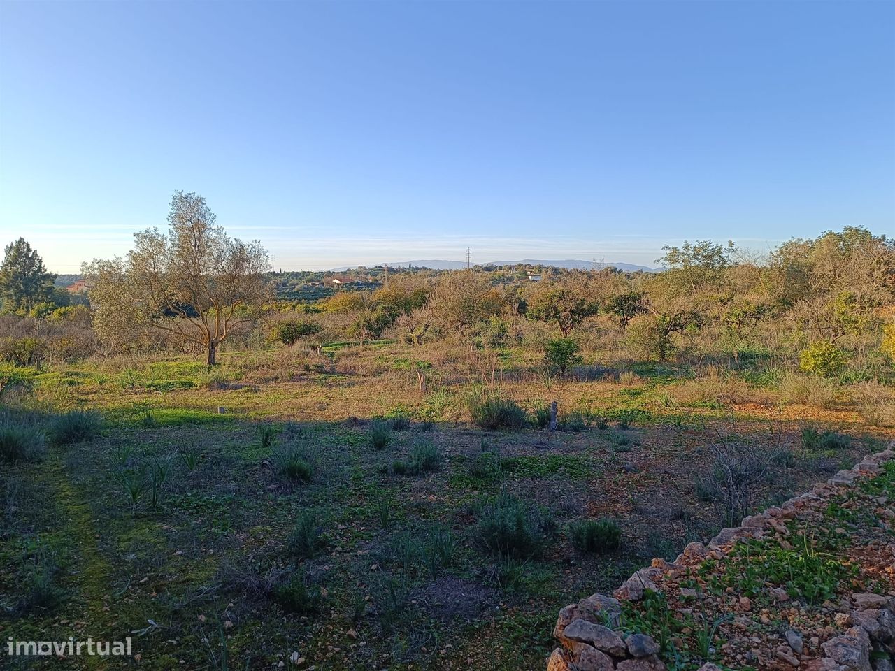 8240m² Land in Silves, Portugal No. 44830