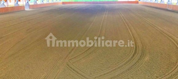 5-Zimmer Gewerbliche Immobilie in Seniga, Italy, Nr. 122310 15