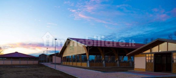 5-Zimmer Gewerbliche Immobilie in Seniga, Italy, Nr. 122310 8