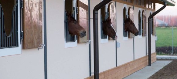 5-Zimmer Gewerbliche Immobilie in Seniga, Italy, Nr. 122310 20