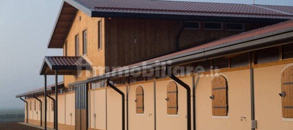 5-Zimmer Gewerbliche Immobilie in Seniga, Italy, Nr. 122310 2