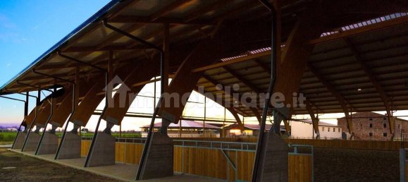 5-Zimmer Gewerbliche Immobilie in Seniga, Italy, Nr. 122310 13