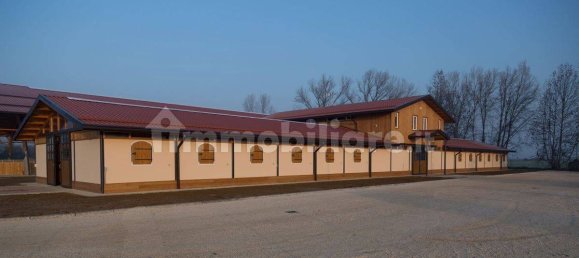 5-Zimmer Gewerbliche Immobilie in Seniga, Italy, Nr. 122310 7