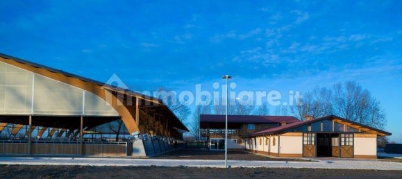 5-Zimmer Gewerbliche Immobilie in Seniga, Italy, Nr. 122310 11