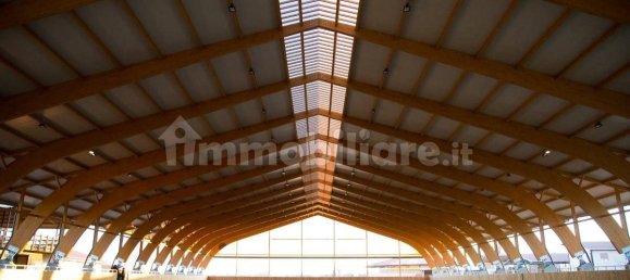 5-Zimmer Gewerbliche Immobilie in Seniga, Italy, Nr. 122310 12