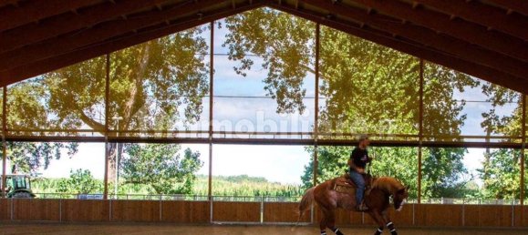 5-Zimmer Gewerbliche Immobilie in Seniga, Italy, Nr. 122310 17