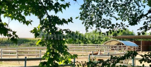 5-Zimmer Gewerbliche Immobilie in Seniga, Italy, Nr. 122310 18