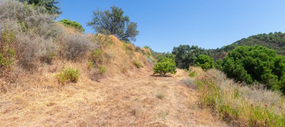  Land in Estepona, Spain No. 167122 16