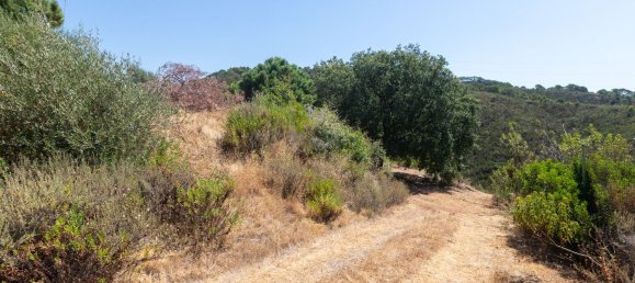  Land in Estepona, Spain No. 167122 7
