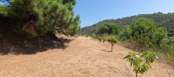  Land in Estepona, Spain No. 167122 8