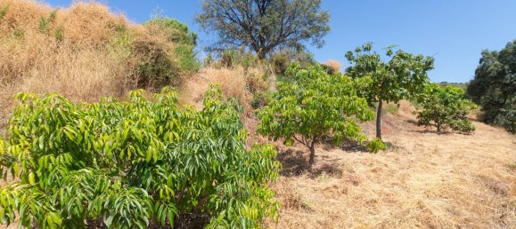  Land in Estepona, Spain No. 167122 18