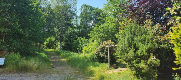 3 bedrooms Bungalow in Euskirchen, Germany No. 144921 3