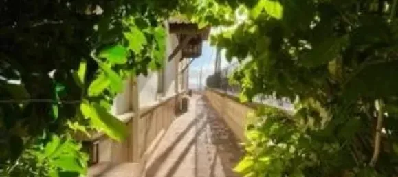 Дом с 11 спальнями в Пальма-де-Майорка, Испания № 72087 12