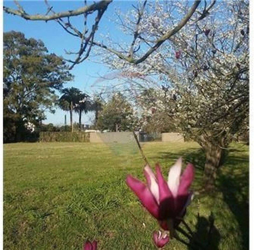 Terreno em Campo Creado, Argentina N.º 37798