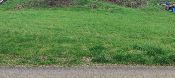  قطعة أرض في Walschbronn, France رقم 73823 4