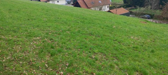  قطعة أرض في Walschbronn, France رقم 73823 3