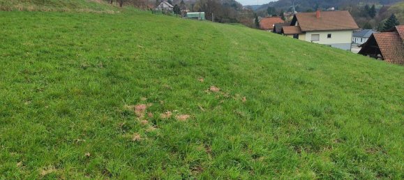  قطعة أرض في Walschbronn, France رقم 73823 2