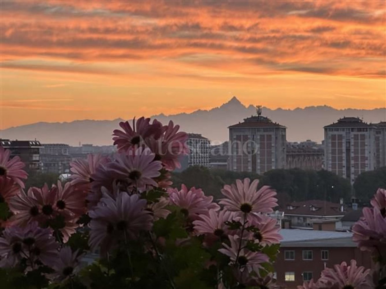 2 rooms Apartment in Turin, Italy No. 148636