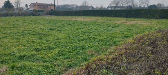 1500m² Land in Vigonovo, Italy No. 255789 3