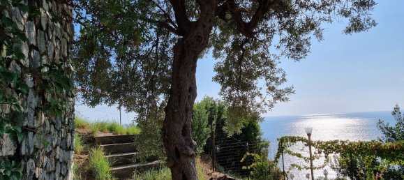 7غرفة فيلا في Acquappesa, Italy رقم 104257 2