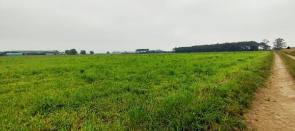 Grundstück in Asturias, Spain, Nr. 164933 2