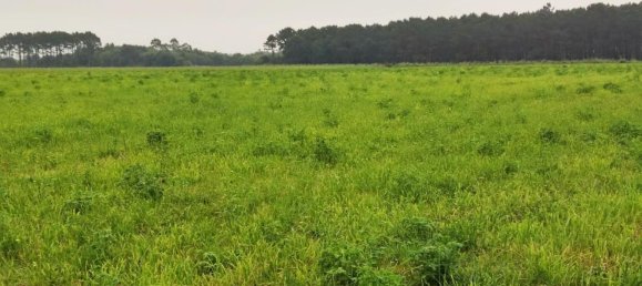 Grundstück in Asturias, Spain, Nr. 164933 10