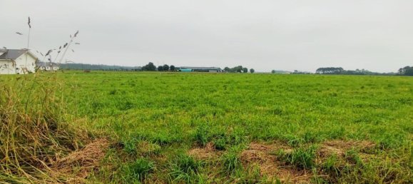 Grundstück in Asturias, Spain, Nr. 164933 11