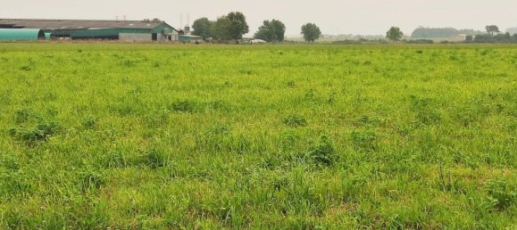 Grundstück in Asturias, Spain, Nr. 164933 4