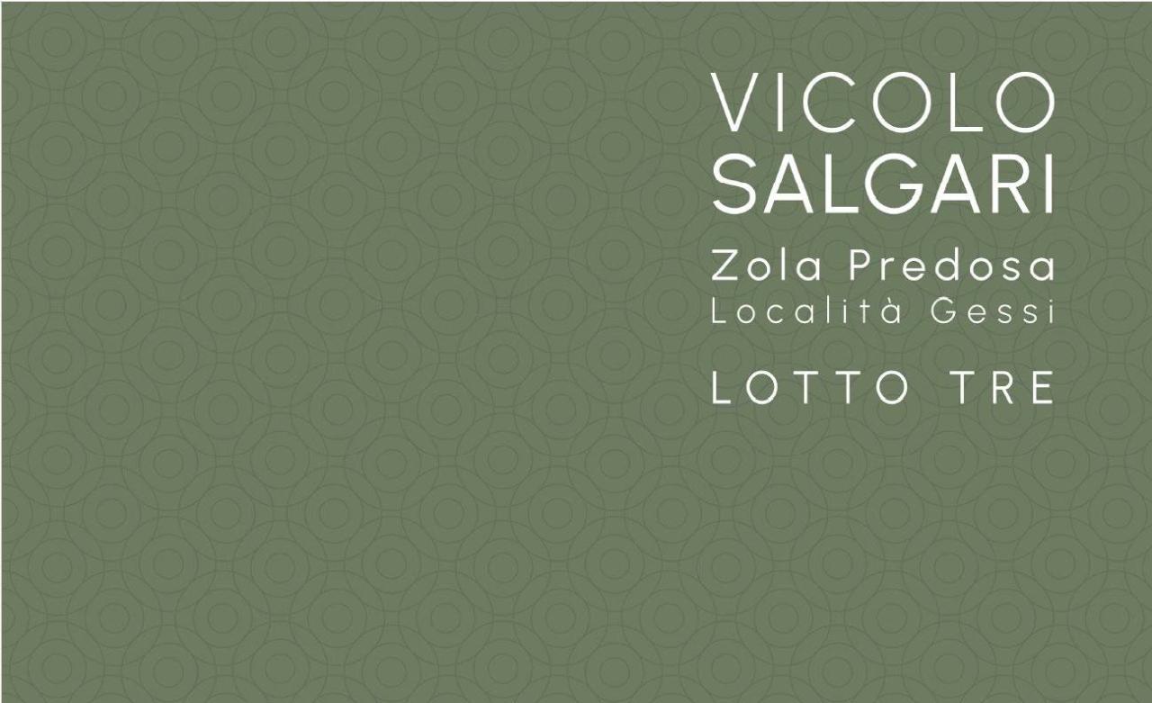 6 rooms Villa in Zola Predosa, Italy No. 38571