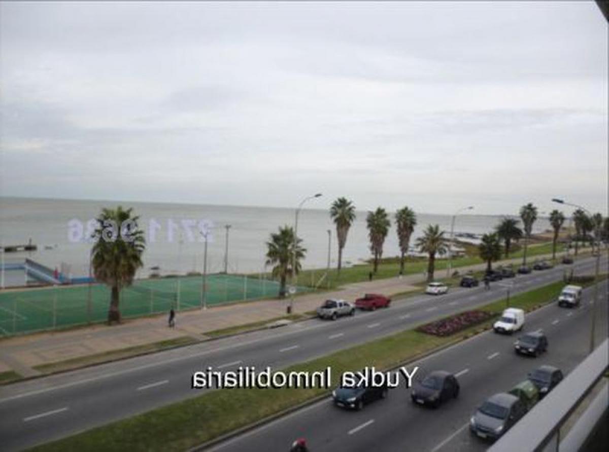 4 bedrooms Apartment in Montevideo, Uruguay No. 9598