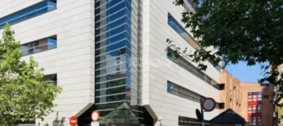 Gewerbliche Immobilie in Madrid, Spain 256m², Nr. 155898 10