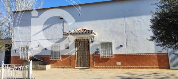 8 Schlafzimmer Haus in Vegas del Genil, Spain, Nr. 188609 30