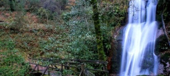 5 غرف نوم منزل في Salamonde, Portugal رقم 42974 33