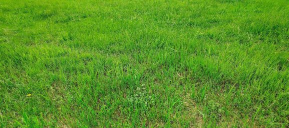  Land in Hohnhart, Austria No. 56235 3